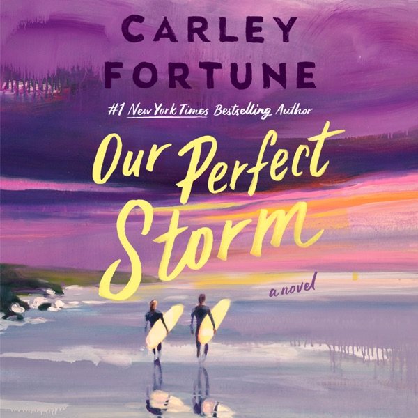 Cover of OUR PERFECT STORM