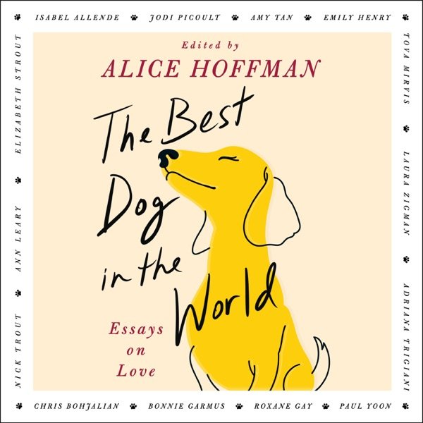 Cover of THE BEST DOG IN THE WORLD
