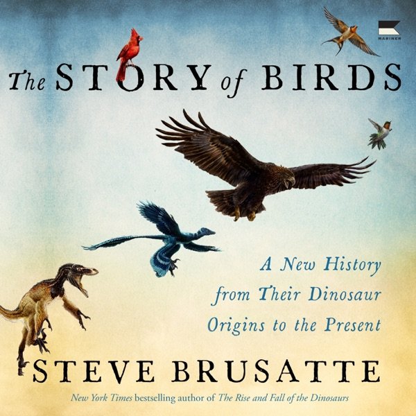 Cover of THE STORY OF BIRDS