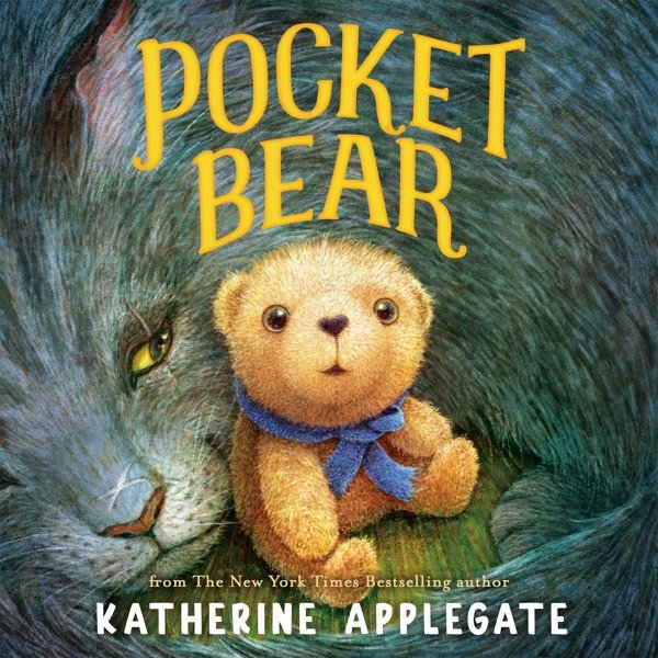 Cover of POCKET BEAR