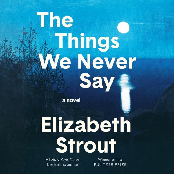 Cover of THE THINGS WE NEVER SAY
