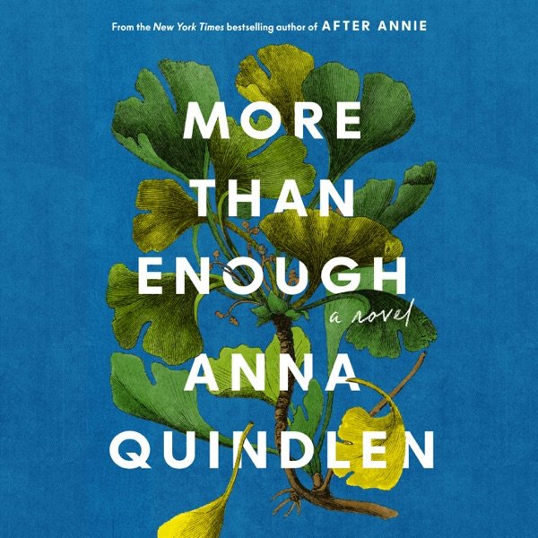 Cover of MORE THAN ENOUGH
