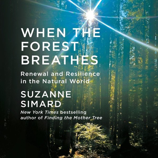 Cover of WHEN THE FOREST BREATHES