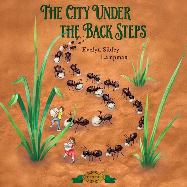Cover of The city under the back steps