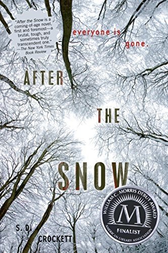 Cover of After the Snow