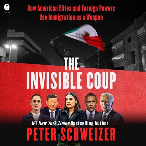 Cover of THE INVISIBLE COUP